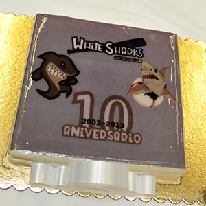 ws10anos 240913 0230