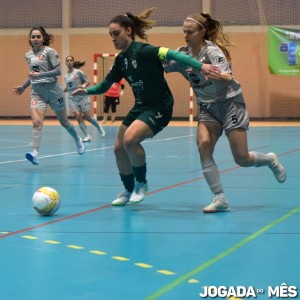 Futsal Feijó/Metaseguros vs  Leões de Porto Salvo